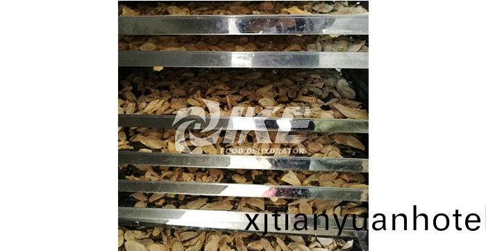 中(zhong)草(cao)