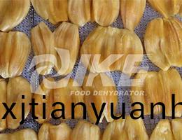 菠(bo)蘿蜜(mi)