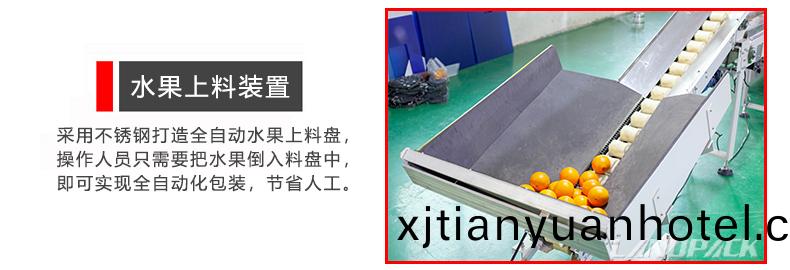 進(jin)料刷子