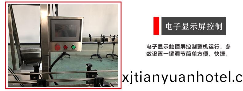 轉(zhuan)盤(pan)式顆粒(li)灌(guan)裝機