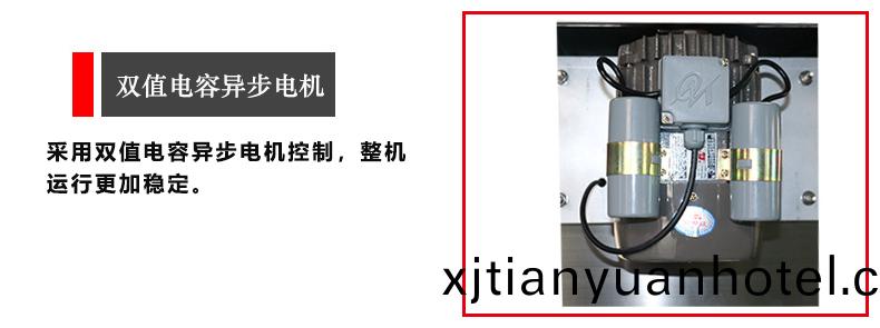 雙值電容(rong)異步(bu)電(dian)機