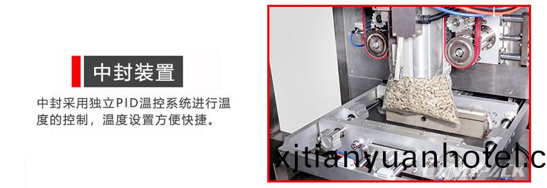 中封裝寘