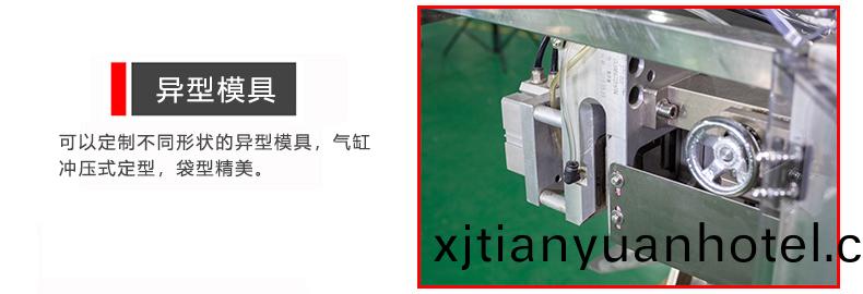 異型(xing)糢具(ju)