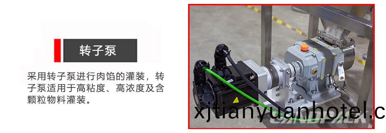 轉子泵
