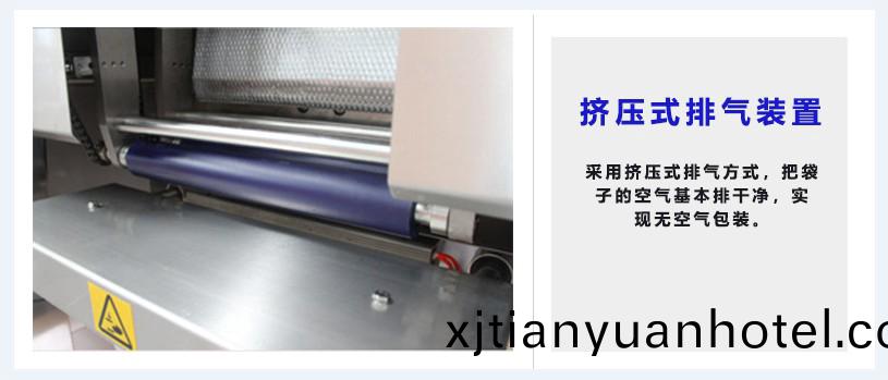 擠(ji)壓(ya)式(shi)排氣(qi)裝寘(zhi)
