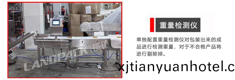 重量(liang)檢測(cè)(ce)儀