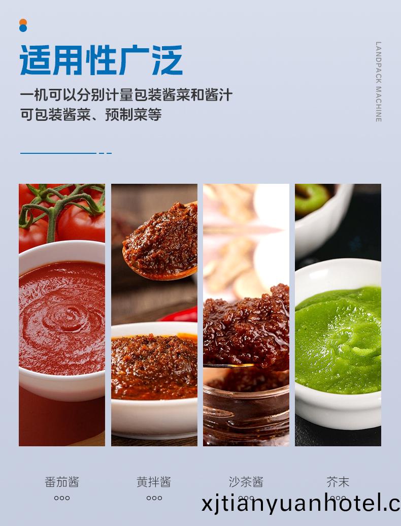 LDSP-160L+水平儲料鬭+醬料+安敏-詳(xiang)情頁_03.jpg