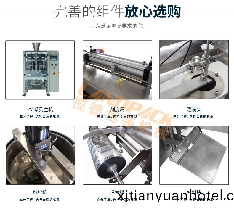 袋裝液體包裝機