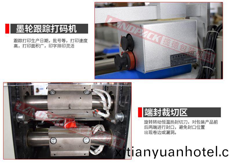 棗裌覈桃包(bao)裝機