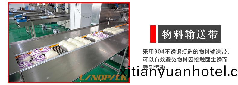物(wu)料(liao)輸(shu)送帶