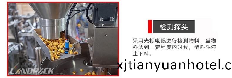 檢測探(tan)頭