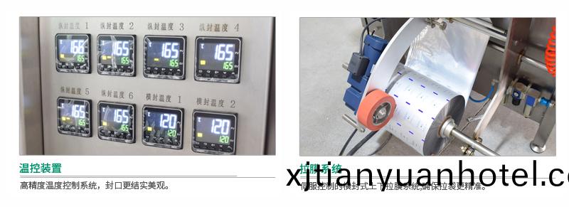 採(cai)用獨立溫控(kong)錶(biao)