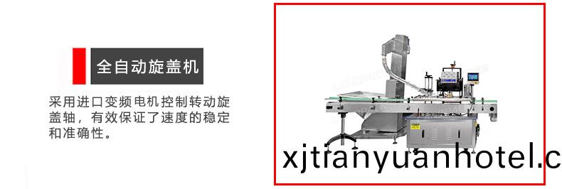 全(quan)自(zi)動(dong)鏇(xuan)蓋機(ji)